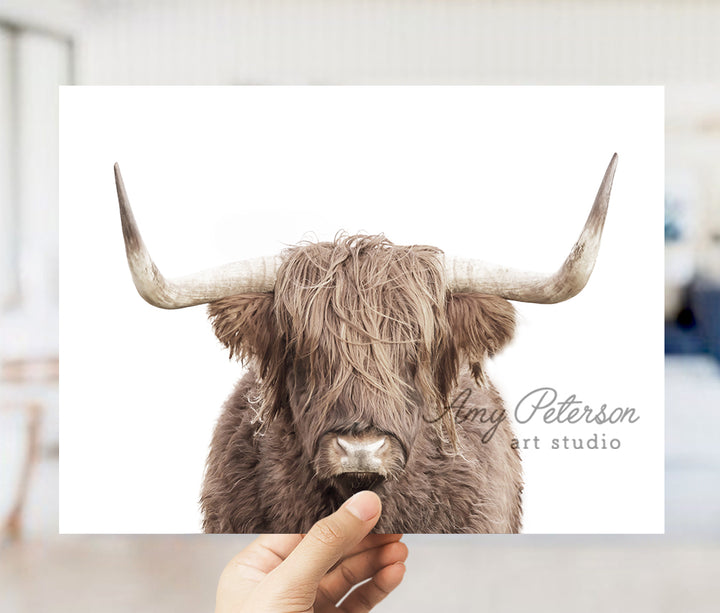 a person holding a card with a picture of a bull