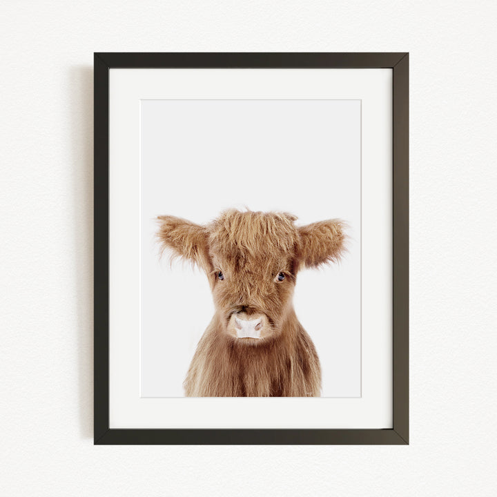 A framed image of a brown cow with large ears, looking directly at the camera.