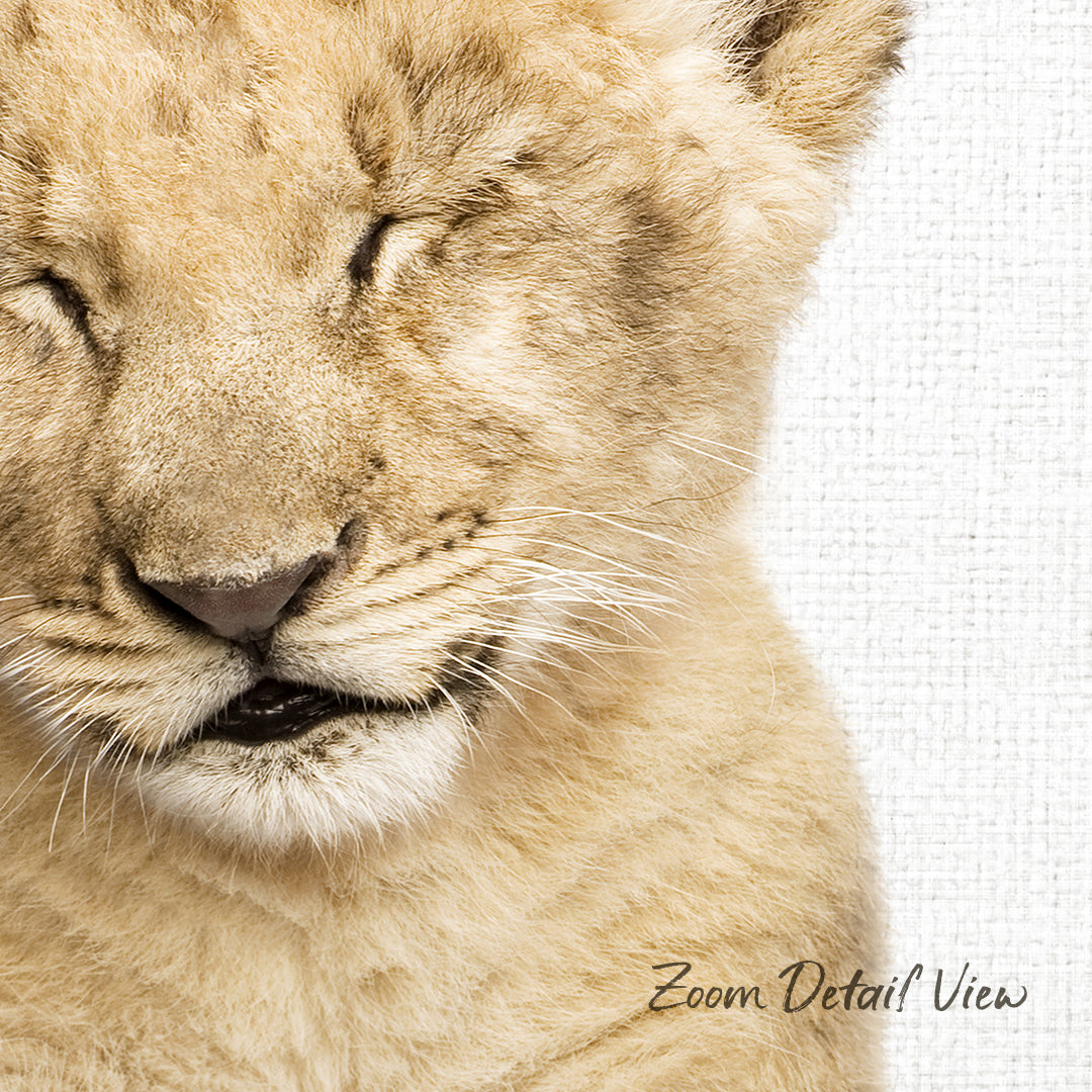A close-up of a young lion cub's face, with its eyes gently closed and its mouth slightly open, conveying a sense of tranquility and peacefulness.