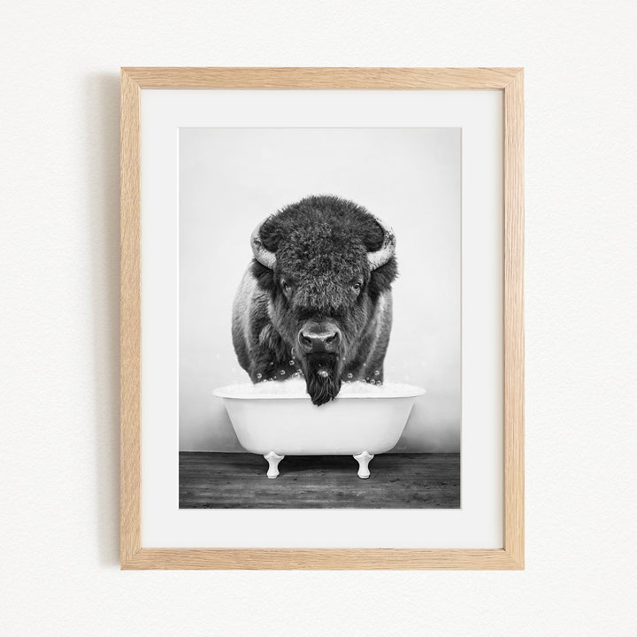 A black and white photograph of a buffalo standing in a bathtub.