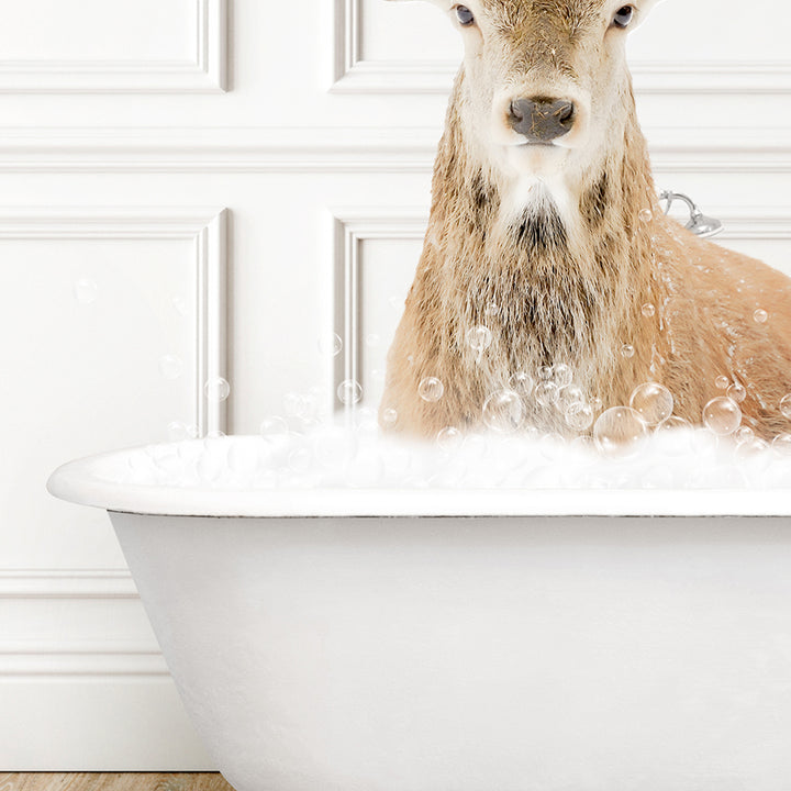 a deer is sitting in a bathtub full of bubbles