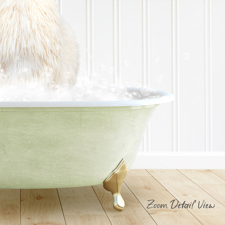 A fluffy white cat is sitting in a green bathtub filled with bubbles, with a wooden floor and white walls in the background.