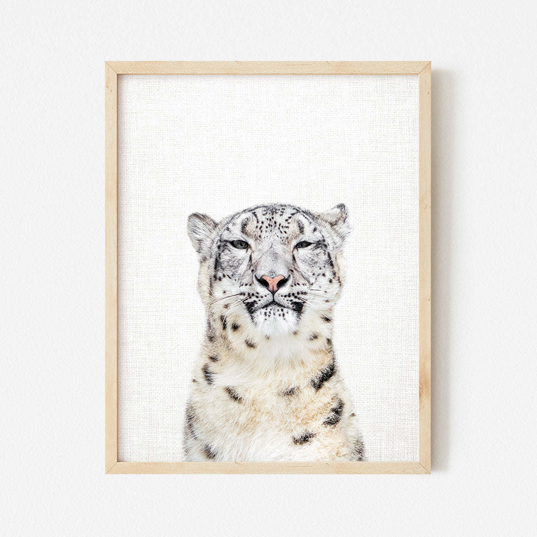 a framed picture of a snow leopard's face