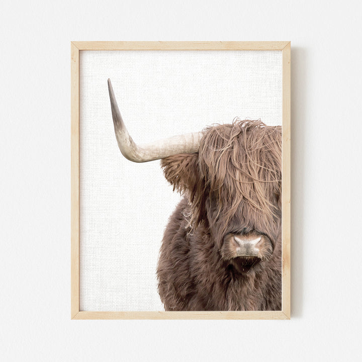 a picture of a bull with long horns hanging on a wall