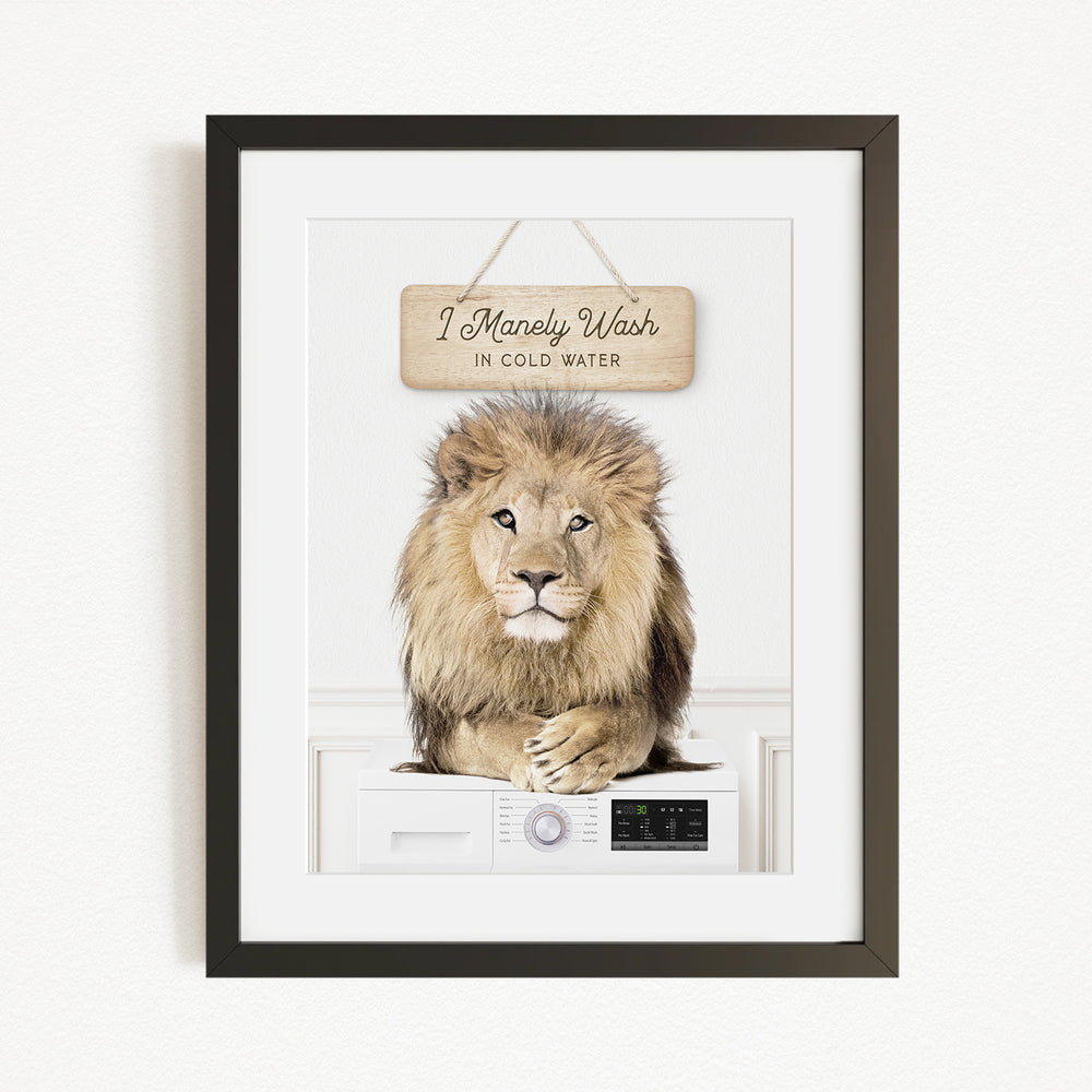 A framed image of a lion sitting on a washing machine, with a sign above the machine that says "I Markey Wash in Cold Waters".