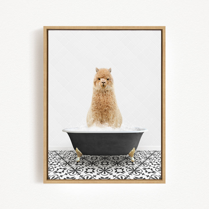 A fluffy brown dog sitting in a black bathtub filled with water, surrounded by a black and white patterned floor.