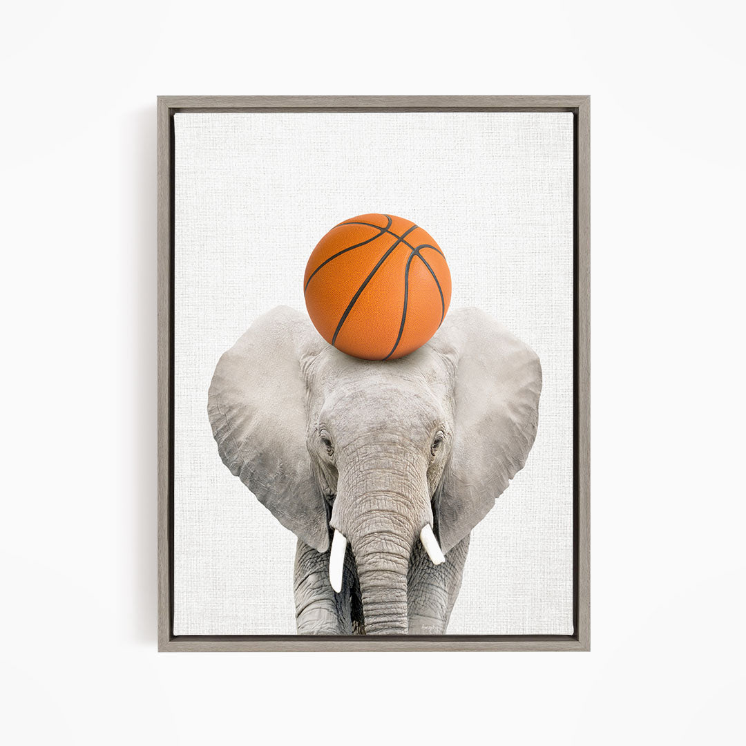 A gray elephant with a basketball resting on its head.