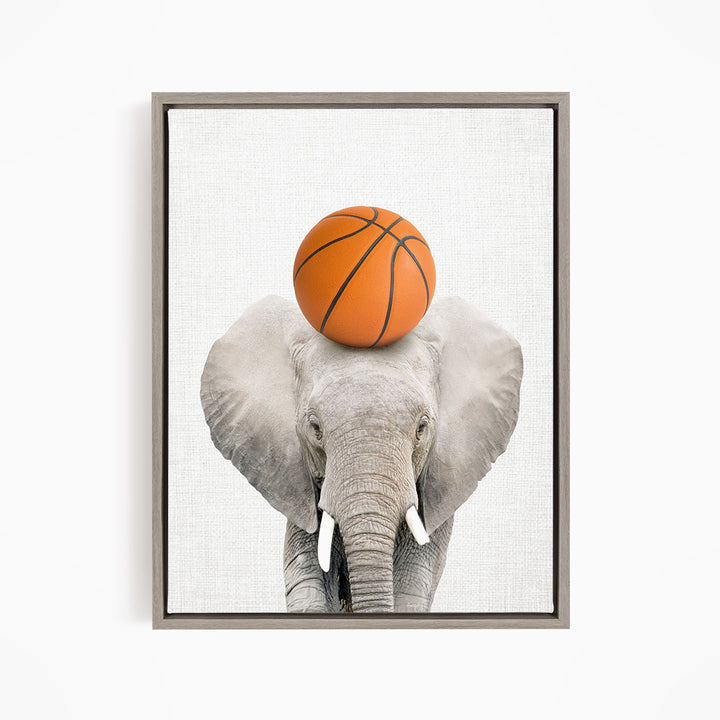 A gray elephant with a basketball resting on its head.