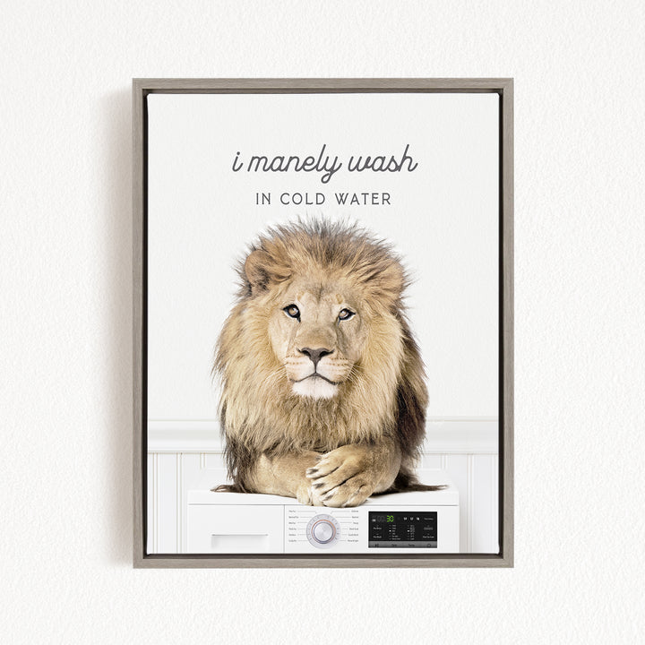 A lion sitting on a washing machine, with the text "I merely wash in cold water" above the image.