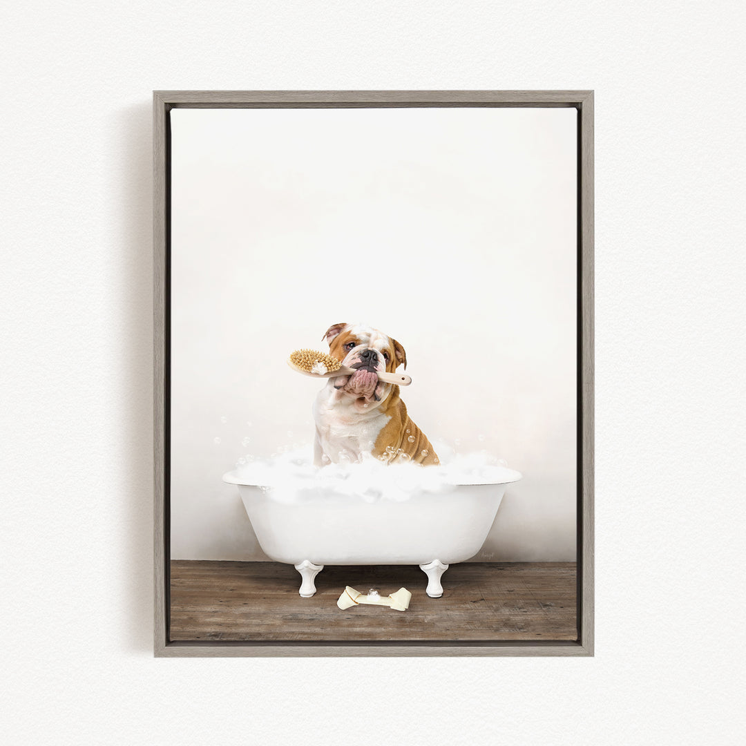 A brown and white bulldog sitting in a white bathtub filled with bubbles, holding a brush in its mouth.