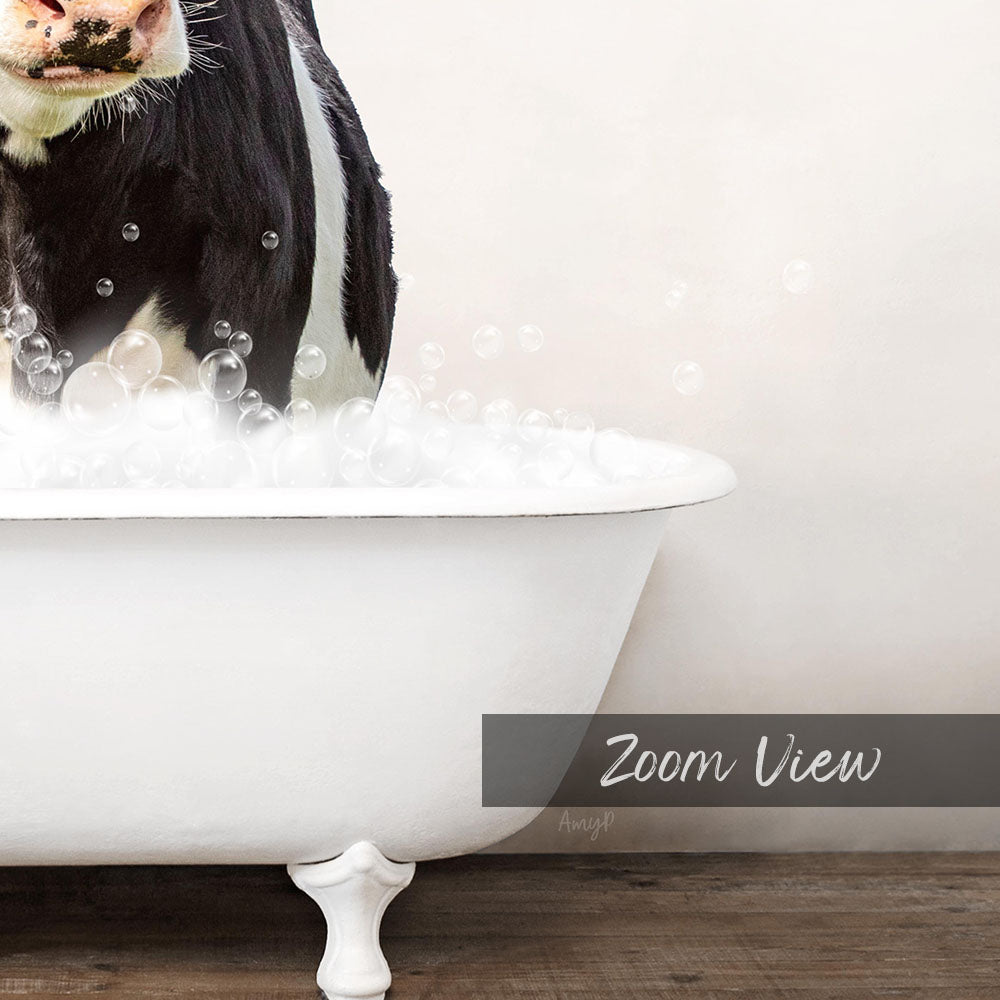A black and white cow standing in a white bathtub filled with bubbles, with the text "Zoom View" below the image.