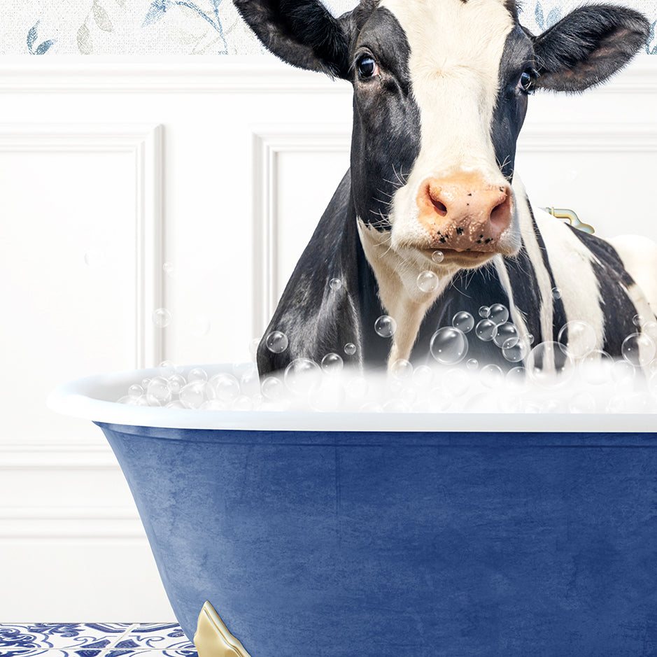 a black and white cow in a blue bath tub