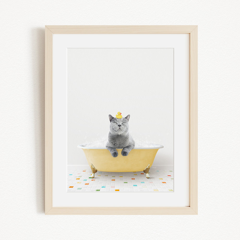 A gray cat sitting in a yellow bathtub, with a yellow rubber duck perched on its head.