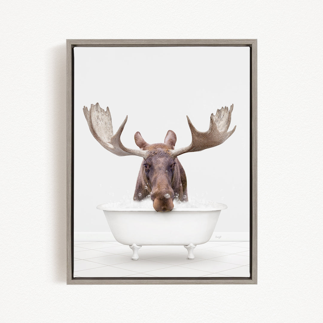 A moose with large antlers is sitting in a white bathtub, appearing to enjoy a relaxing soak.