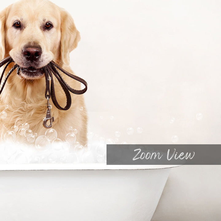 A golden retriever dog is sitting in a bathtub filled with bubbles, wearing a leash around its neck.