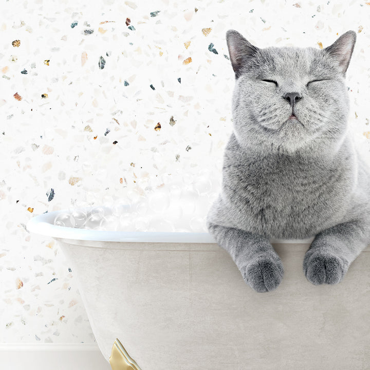 a gray cat sitting in a bathtub with its eyes closed