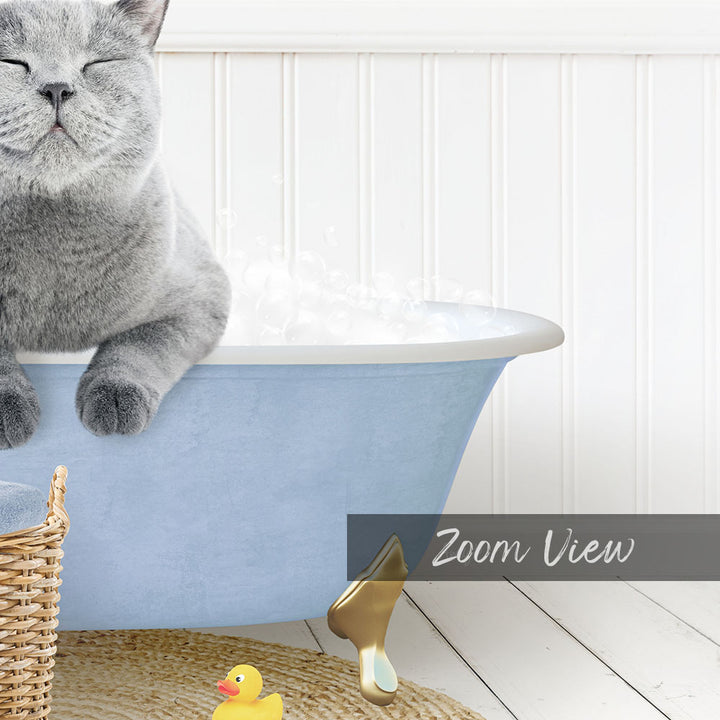 A gray cat sitting in a blue bathtub, with a yellow rubber duck nearby, and a basket on the floor.