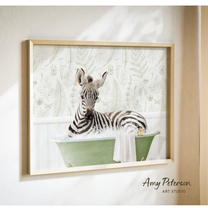 A zebra is sitting in a green bathtub, surrounded by a white towel and a yellow rubber duck, in a framed image on a wall.