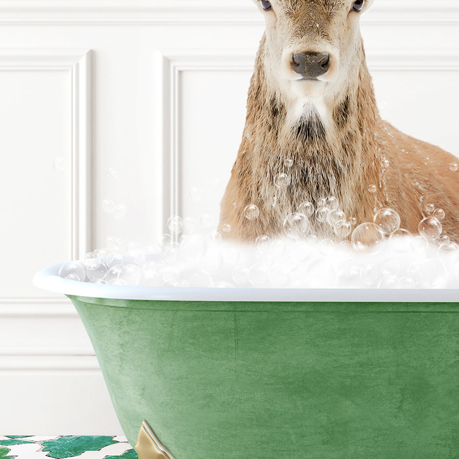 a deer sitting in a bathtub full of bubbles