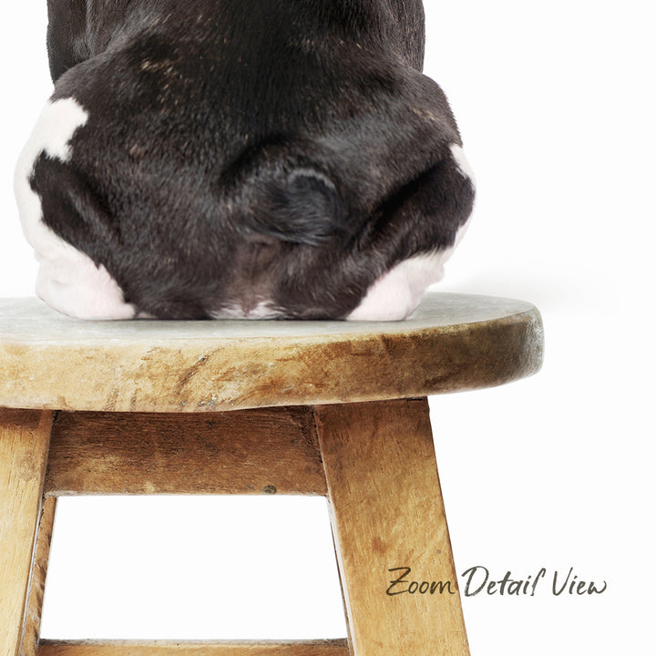 A black and white dog is sitting on a wooden stool, with its head resting on the stool's edge.