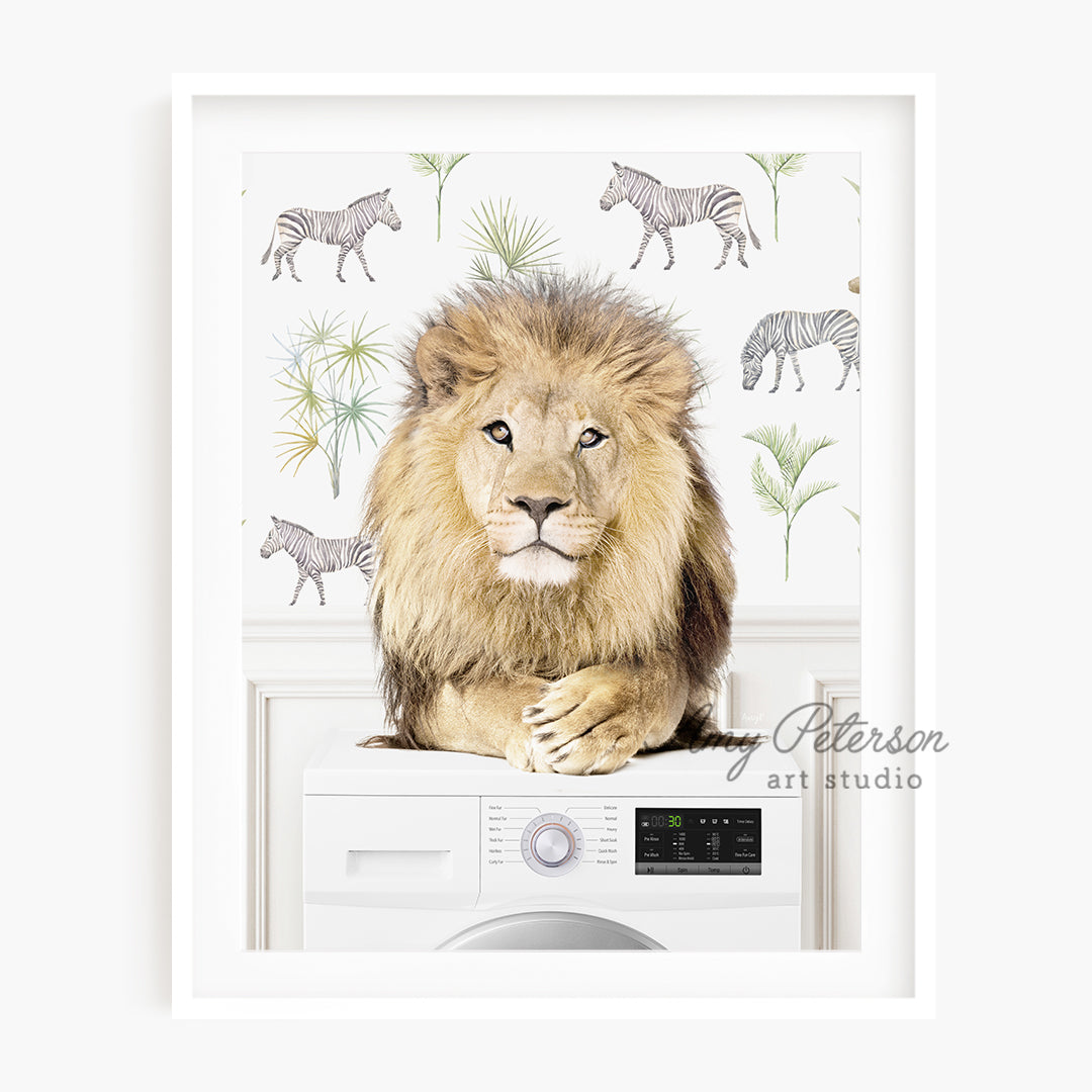 a lion sitting on top of a washing machine