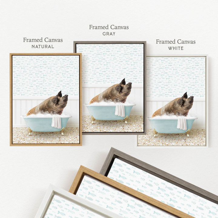 three framed pictures of a pig sitting in a bathtub, each with a different colored frame.