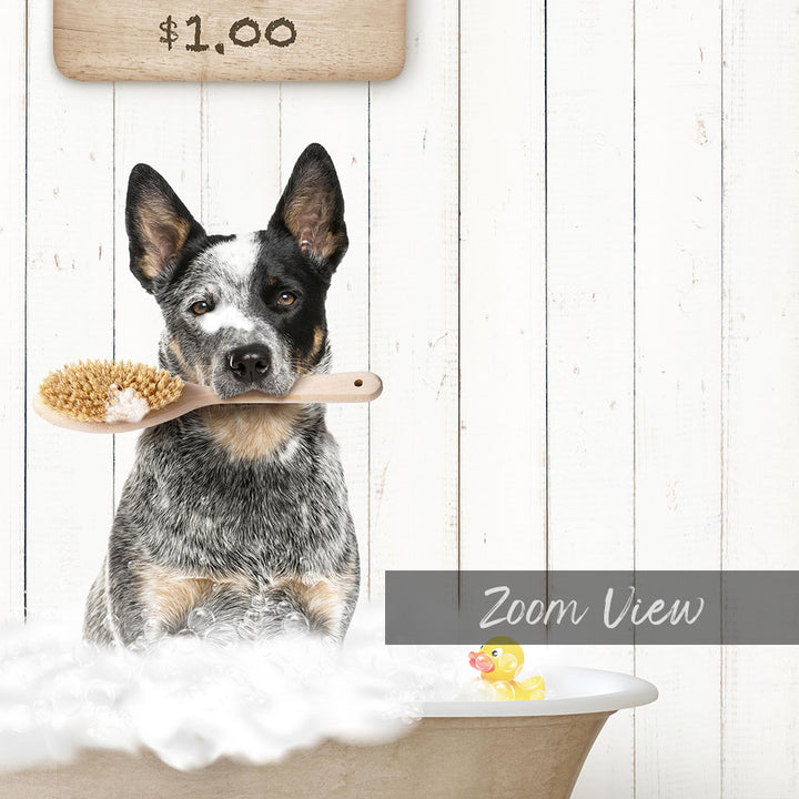 A black and white dog sitting in a bathtub, holding a wooden brush in its mouth, with a sign above the bathtub displaying "$1.00".