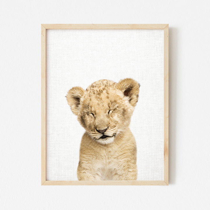 a framed picture of a baby lion cub