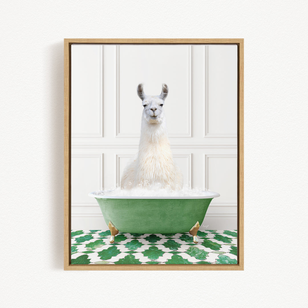 A white llama sitting in a green bathtub filled with bubbles, with a patterned green and white rug on the floor.