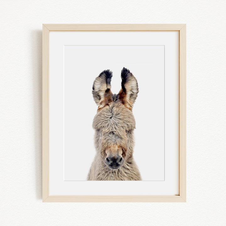 A close-up portrait of a donkey with its head and ears prominently featured in a wooden frame against a white background.