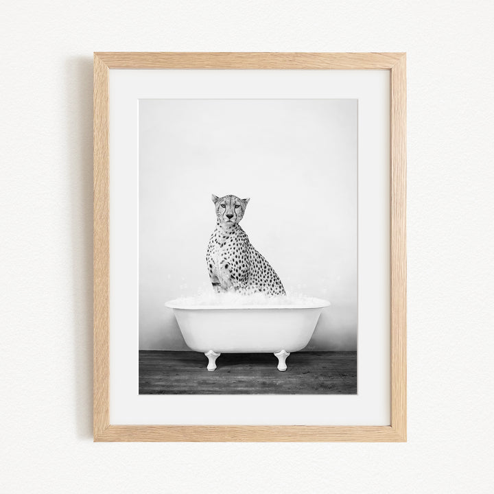 A cheetah sitting in a bathtub filled with water, as depicted in a framed black and white photograph.