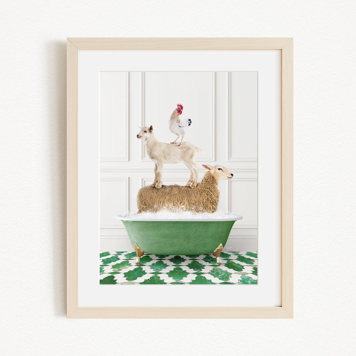 A framed image depicting a goat standing on top of a sheep in a green bathtub, with a rooster perched on the sheep's back.