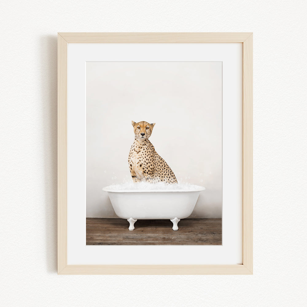 A cheetah sitting in a white bathtub filled with water, looking directly at the camera.