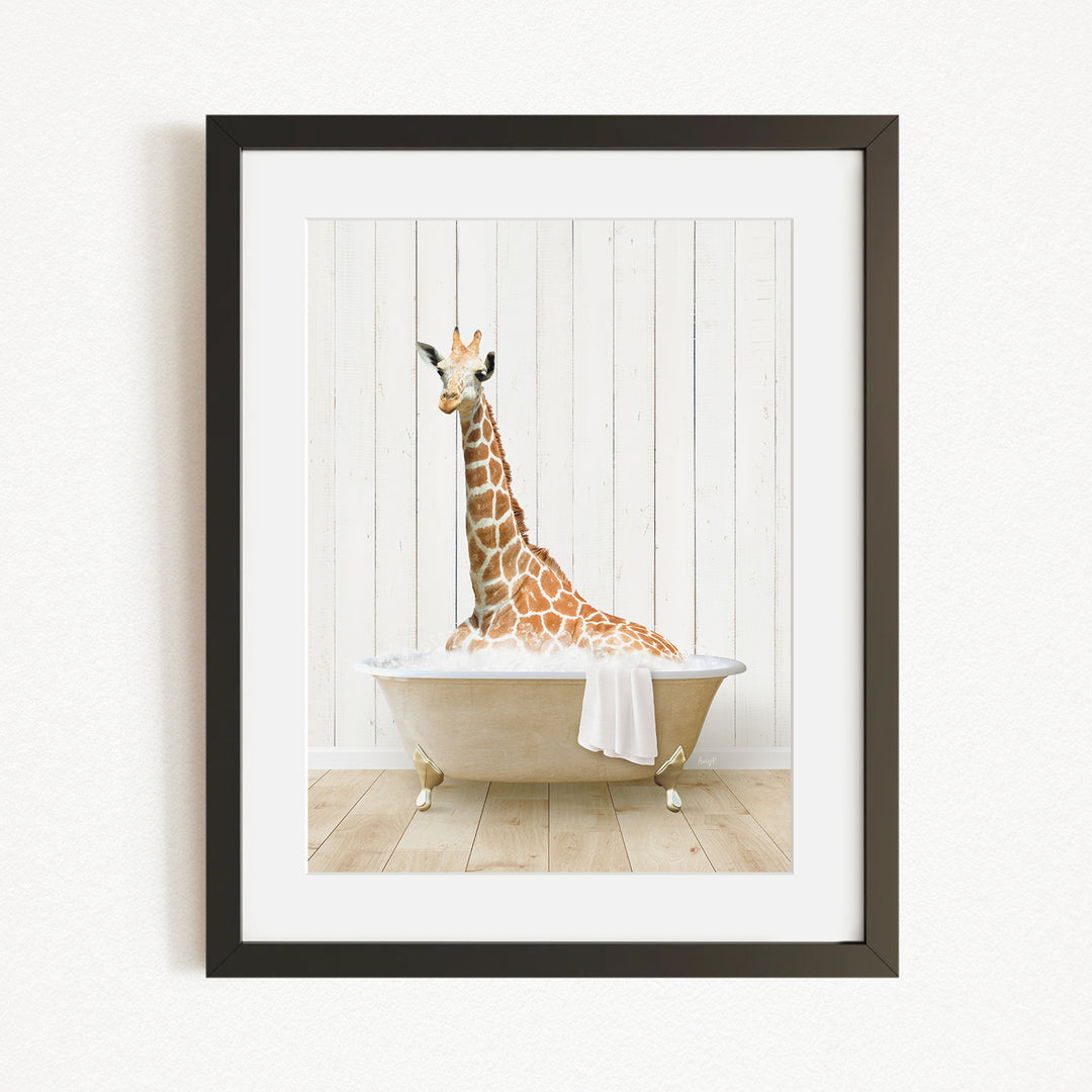 A giraffe sitting in a bathtub filled with water, with a towel draped over the side of the tub.