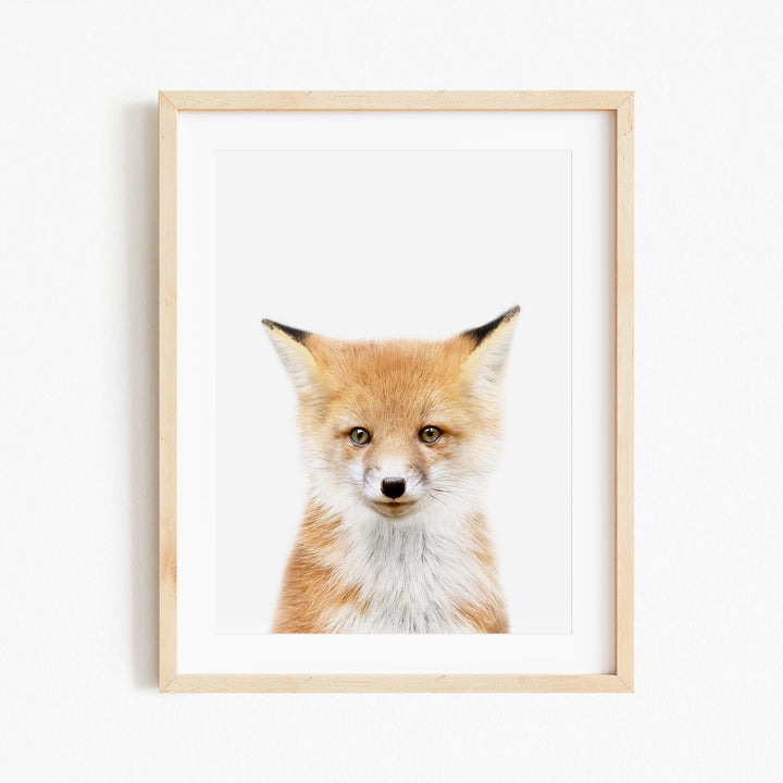 a picture of a fox with a white background