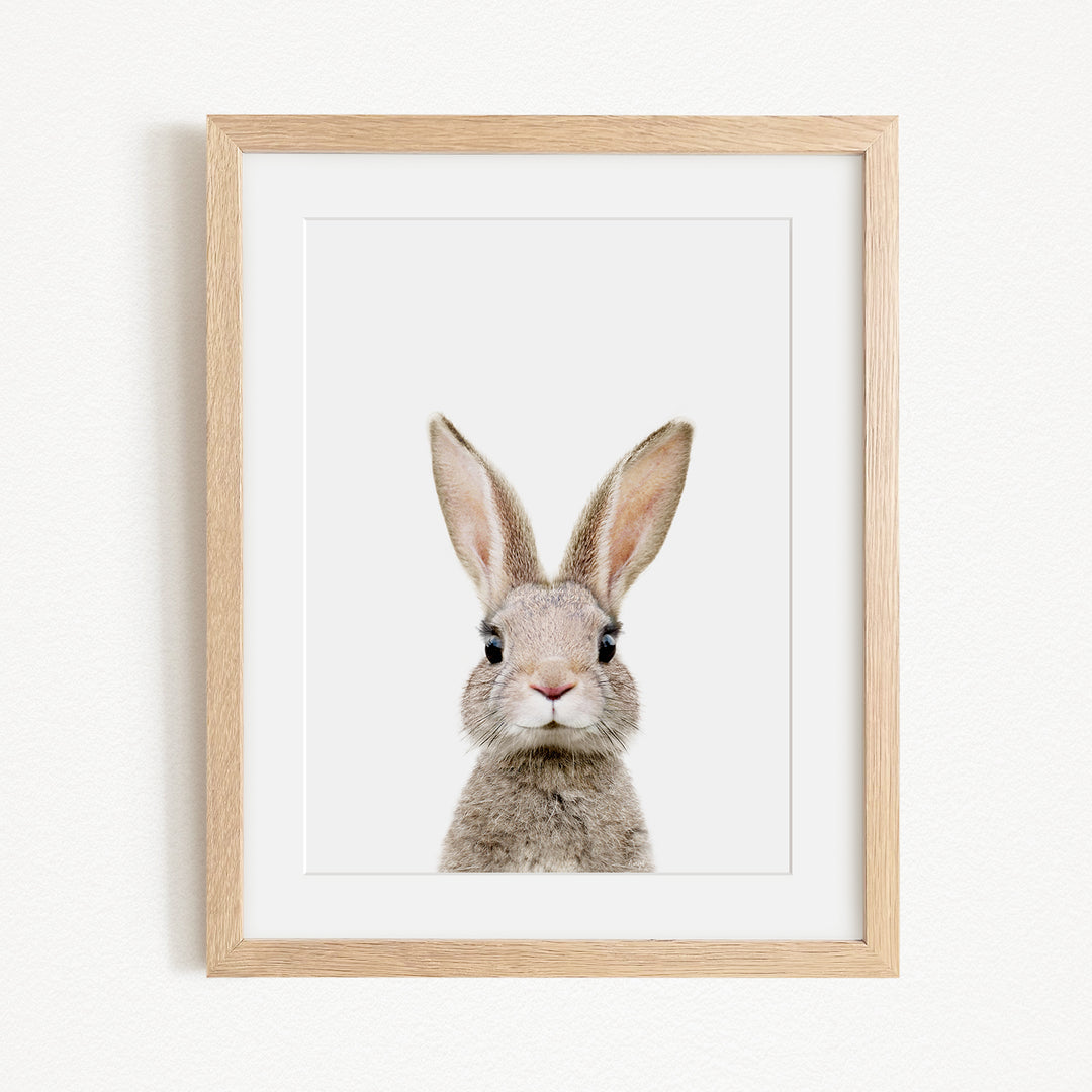 A framed image of a rabbit with large ears and a curious expression.