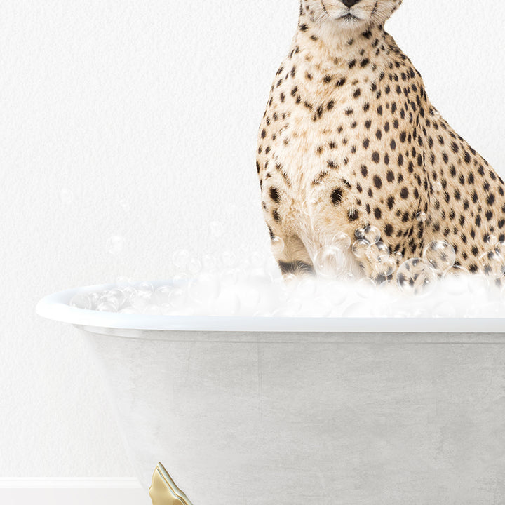 a cheetah sitting in a bathtub full of bubbles