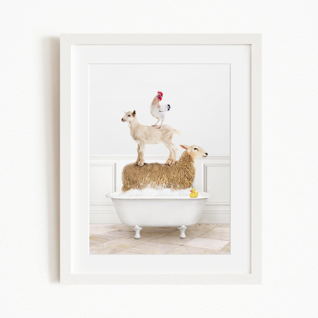 A framed image depicting a goat standing on a sheep's back while a rooster stands on top of a sheep in a bathtub.