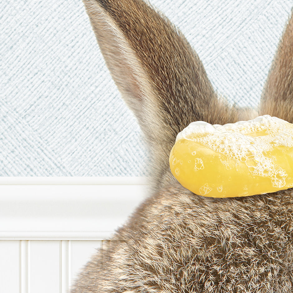 a close up of a rabbit with a doughnut on its head