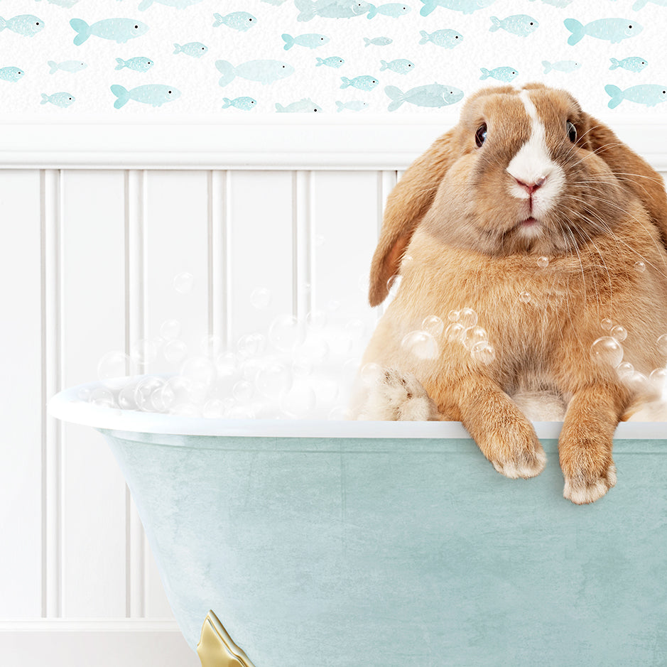 a rabbit sitting in a bathtub full of bubbles