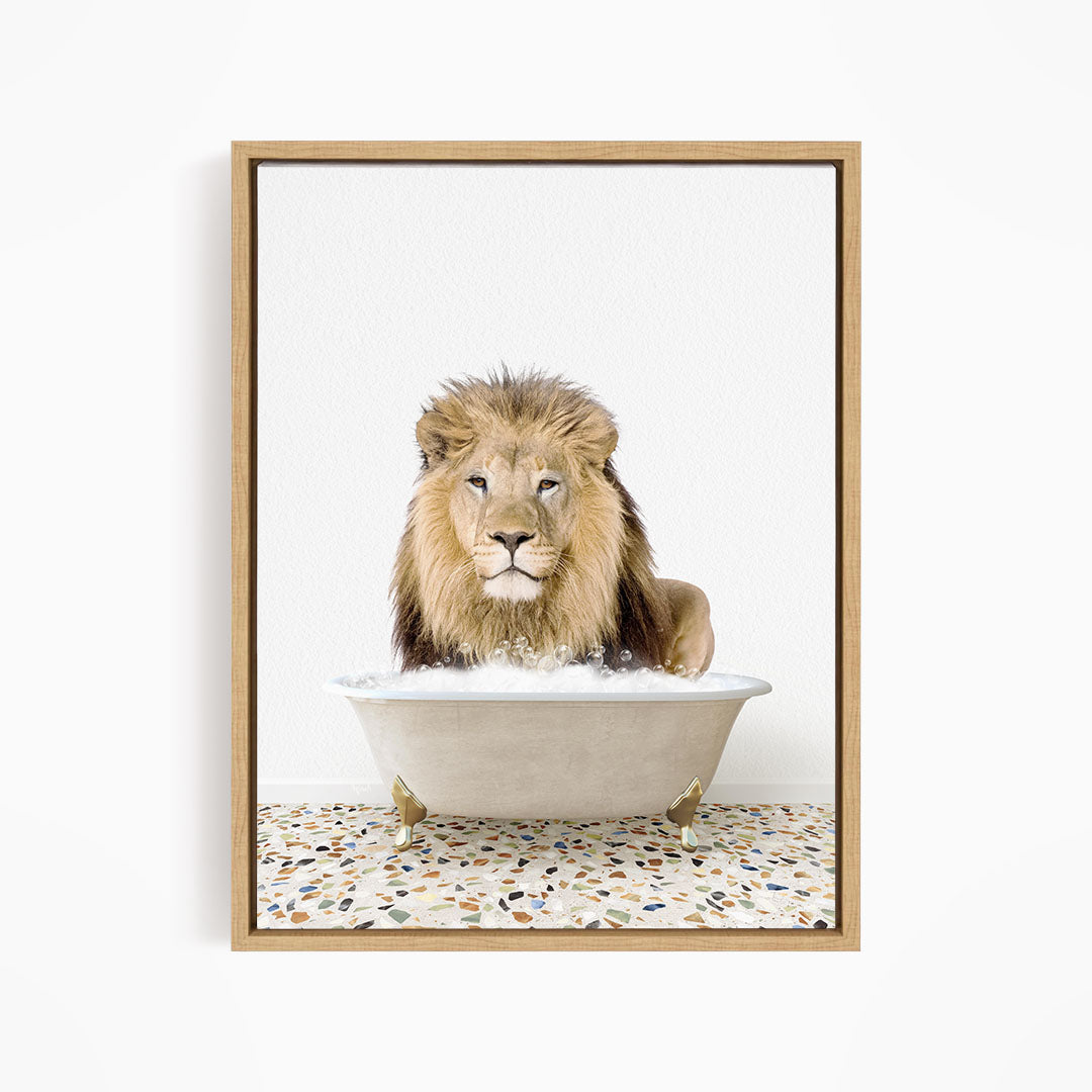 A lion sitting in a bathtub filled with water, looking directly at the camera.