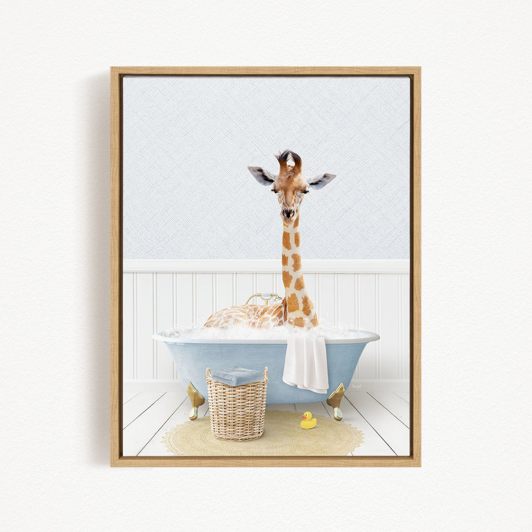 A giraffe is sitting in a bathtub filled with water, surrounded by rubber ducks and a basket.