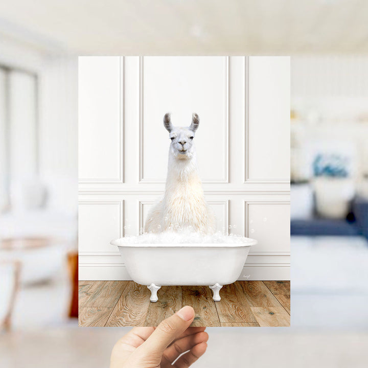 A white llama sitting in a white bathtub filled with water, with a blurred background suggesting a bathroom setting.