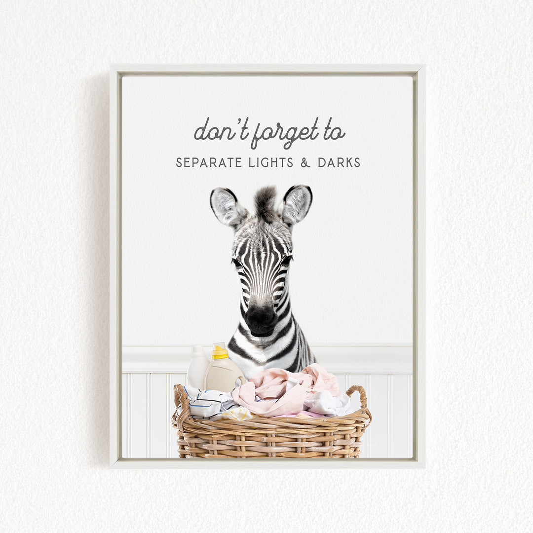 A zebra standing in a basket filled with baby clothes, with the text "don't forget to separate lights & darks" displayed above the image.