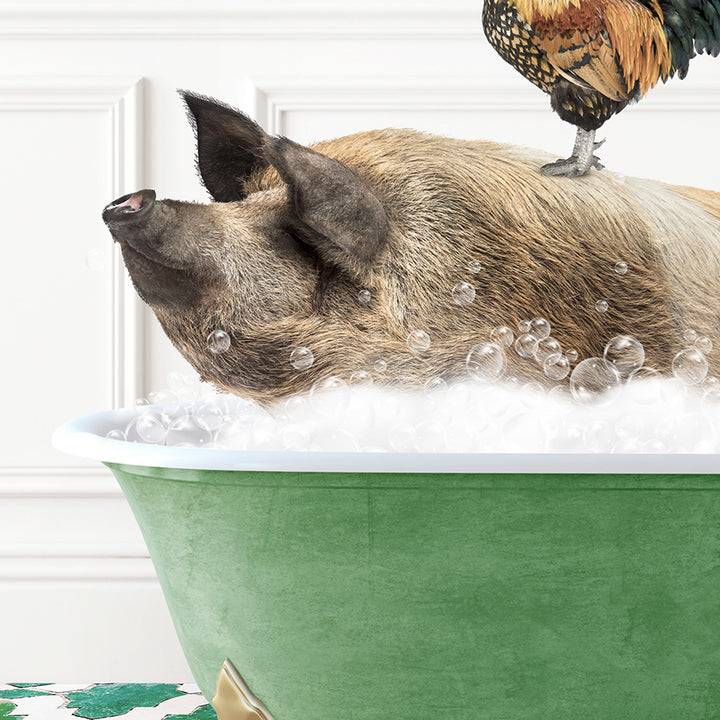 a pig in a bathtub with a chicken on top of it