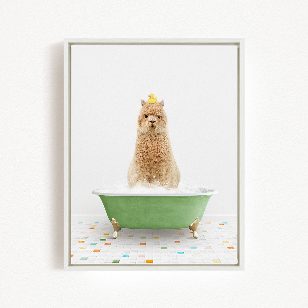 A fluffy brown dog sitting in a green bathtub filled with bubbles, with a yellow rubber duck perched on its head.