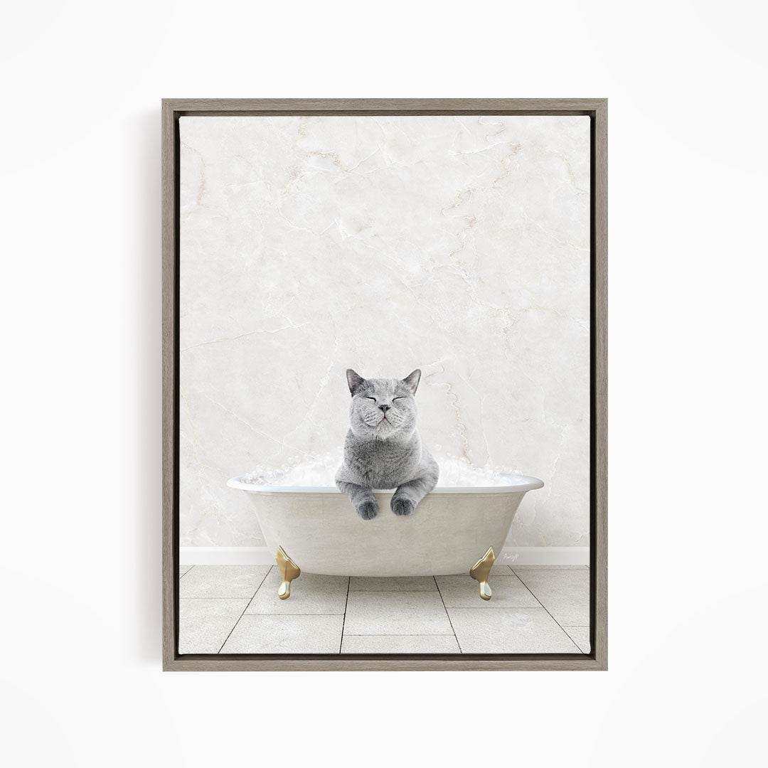 A gray cat sitting in a white bathtub filled with bubbles, with a white marble wall in the background.