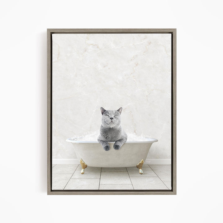 A gray cat sitting in a white bathtub filled with bubbles, with a white marble wall in the background.