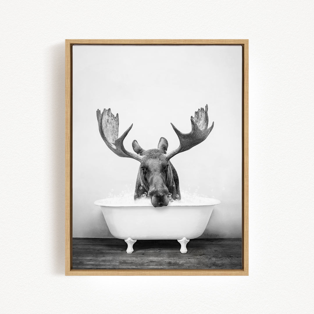 A moose with large antlers is sitting in a bathtub filled with water, creating a whimsical and humorous scene.