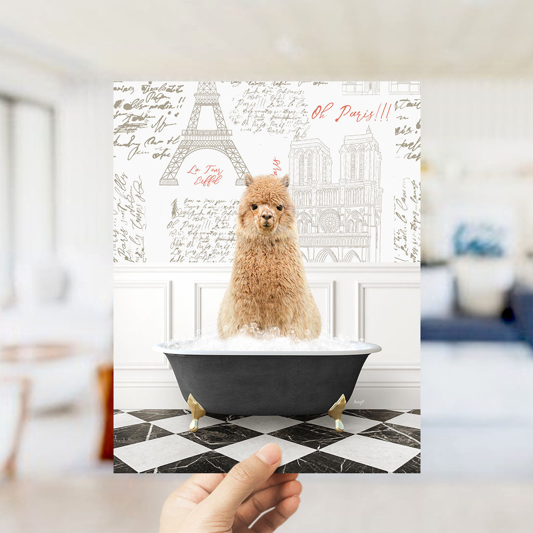 A hand holds up a framed image of a fluffy brown dog sitting in a bathtub filled with bubbles, with a Paris-themed background featuring the Eiffel Tower and other Parisian landmarks.